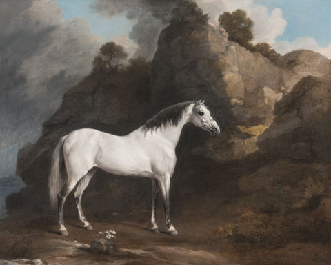 Rycote Arabian Horse  - George Stubbs - Equestrian Painting by George Stubbs