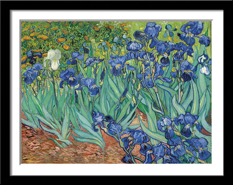 Best Of Vincent van Gogh Paintings (Vol 2) - Set of 10 Framed Poster Paper - (12 x 17 inches)each by Vincent Van Gogh