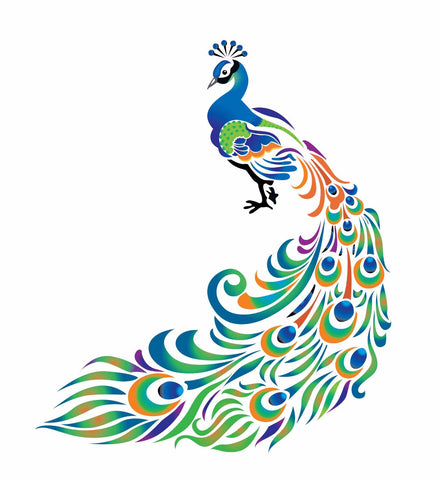 Spreading the Colors by Hamid Raza