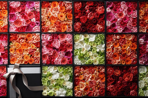 Floral Art - Roses In The Box by Sam Mitchell