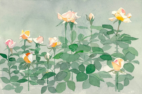 Tallenge Floral Art Collection - Delicate Water Color - Rose Buds by Sam Mitchell