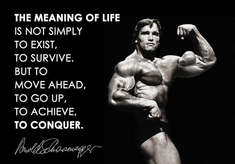The meaning of life is to conquer - Arnold Schwarzenegger by Tallenge Store