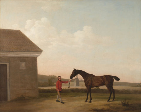 Thoroughbred With A Groom On Newmarket - George Stubbs - Equestrian Horse Painting by George Stubbs