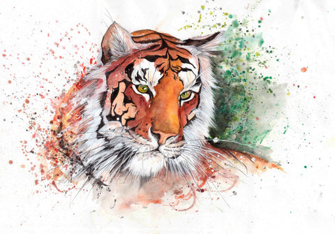 Tiger - A Watercolor by Christopher Noel