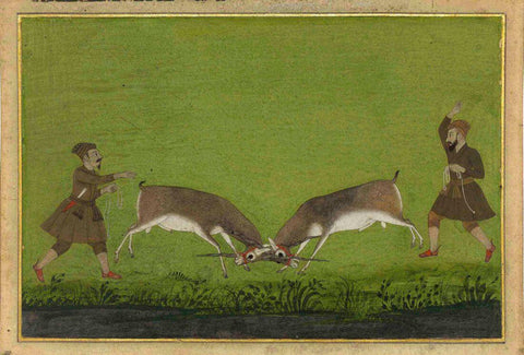 Two Fighting Bucks - Mughal School At Kishangarh - C. 1720-30- Vintage Indian Miniature Art Painting by Miniature Vintage