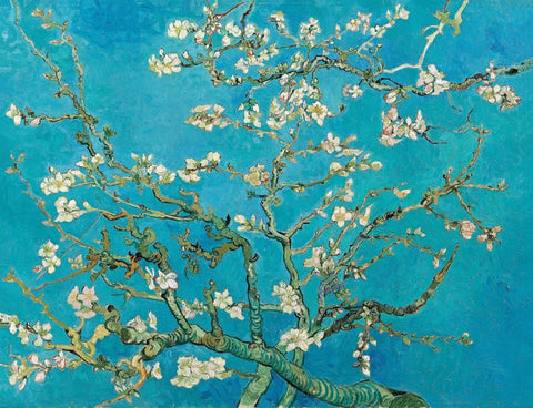 Almond Blossoms - Canvas Prints by Vincent Van Gogh