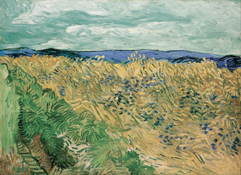 Vincent Van Gogh - Wheatfield With Cornflowers - Art Prints