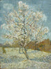 Vincent van Gogh - De roze perzikboom - The Pink Peach Tree - Life Size Posters