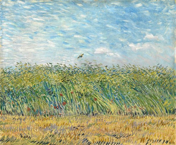 Wheat Field With A Lark 1887 - Vincent Van Gogh - Canvas Prints