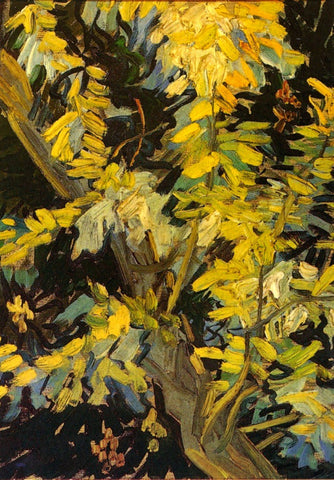 Vincent van Gogh - Blossoming acacia branches - 1890 by Vincent Van Gogh