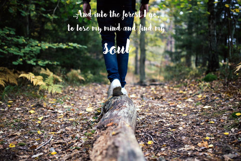 Wanderlust - Inspirational Quote - And Into The Forest I Go To Lose My Mind And Find My Soul by Keith Sanders