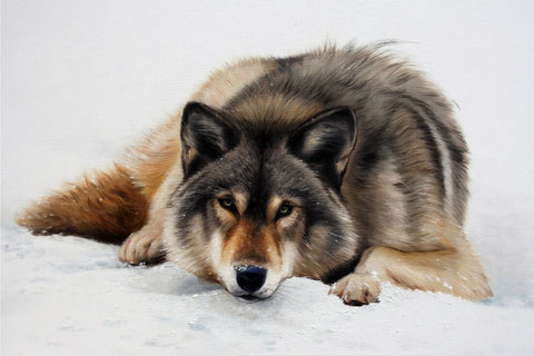 Wolf In Snow - Realistic Animal Painting by Sina Irani