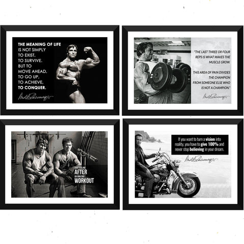 Arnold Schwarzenegger - Set of 10 Framed Poster Paper - (12 x 17 inches)each by Joel Jerry