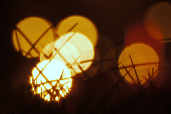 Light - Canvas Prints