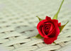 Best Gift for Valentine's Day - Red Rose For The Love - Framed Prints