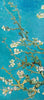 Almond Blossoms - Art Panels