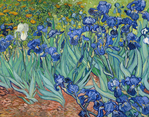 Irises - Fridge Magnets by Vincent van Gogh