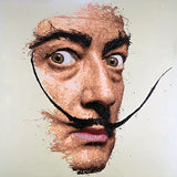 Salvador Dalí Paintings