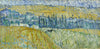 Auvers In The Rain - Vincent van Gogh Painting - Life Size Posters