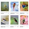2024 Wall Calendar - Winged Beauties, Birds