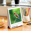 Desk Calendar 2024 - Winged Beauties, Birds