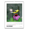 Desk Calendar 2025 - Winged Beauties, Birds