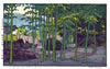 Bamboo Garden - Toshi Yoshida - Japanese Vintage Woodblock Ukiyo-e Print - Art Prints