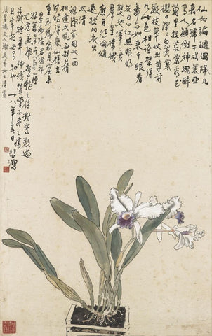 Cattleya Orchids - Xu Beihong - Chinese Art Floral Painting by Xu Beihong