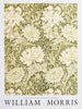 Chrysanthemum - William Morris Exhibition Poster - Vintage Naturalistic Floral Wall Art - Framed Prints