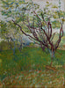 Flowering Orchard - Vincent van Gogh - Painting - Life Size Posters