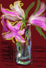 Fresh Flowers - David Hockney iPhone Drawing - Framed Prints