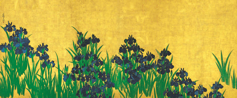 Irisis (L) - Ogata Korin - c1701 Edo Period - Japanese National Treasure Painting by Ogata Korin