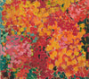 Keller Fair - Lynne Drexler - Abstract Art Floral Painting - Canvas Prints