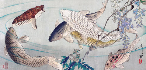 Koi Fish (Oriental Carps) Swimming Beneath Wisteria - Yoshitoshi Tsukioka - Vintage c1889 Japanese Woodblock Print - Posters