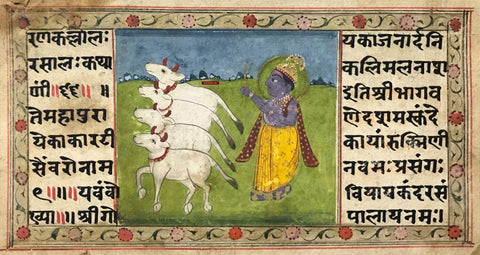 Krishna The Cowherd - Antique Indian Manuscript With Miniature Painting by Pichwai Art