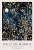 Moon & Stars 2 - William Morris Exhibition Poster - Vintage Design Wall Art - Art Prints