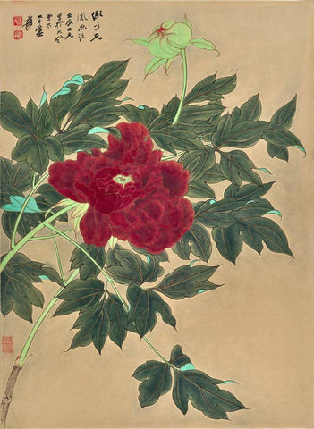 Palace Crimson Peony Flower - Zhang Daqian - Chinese Gongbi Floral Art Painting - Framed Prints
