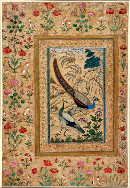 Peafowls - Ustad Mansur - c1601 Mughal Miniature Art Painting - Art Prints