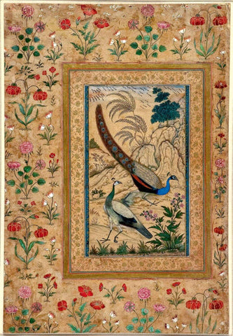 Peafowls - Ustad Mansur - c1601 Mughal Miniature Art Painting - Framed Prints by Miniature Vintage
