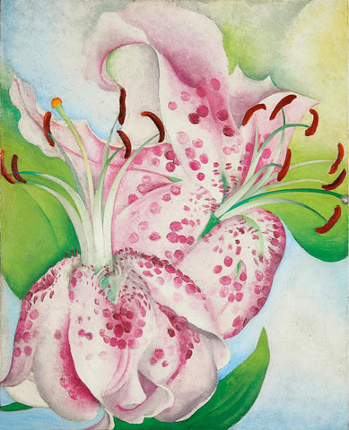 Pink Spotted Lillies - Georgia OKeeffe Floral Painting - Framed Prints