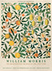Pomegranate - William Morris Exhibition Poster - Vintage Naturalistic Floral Wall Art - Canvas Prints