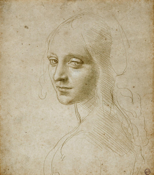 The Head Of A Woman - Leonardo da Vinci Sketch - Large Art Prints