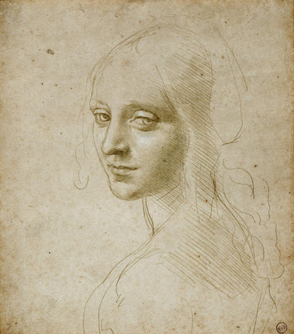 The Head Of A Woman - Leonardo da Vinci Sketch - Large Art Prints