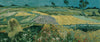 The Plain of Auvers (Wheat Fields Near Auvers) - Vincent van Gogh Impressionist Painting - Canvas Prints