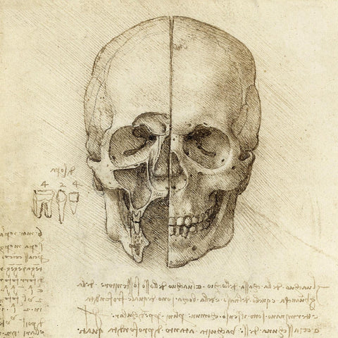 The Skull Sectioned - Leonardo da Vinci Sketch - Framed Prints