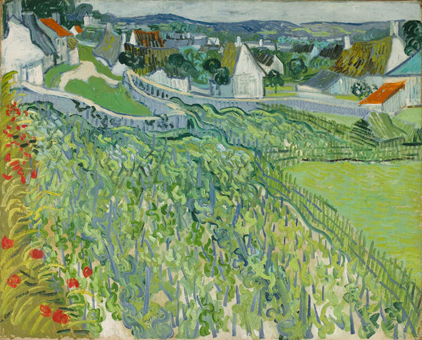 Vineyards At Auvers - Vincent van Gogh Painting - Large Art Prints
