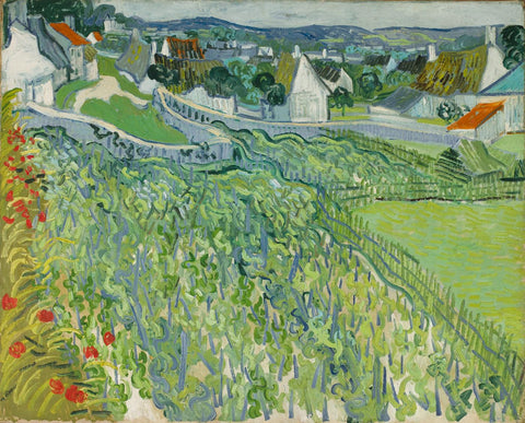 Vineyards At Auvers - Vincent van Gogh Painting - Large Art Prints