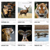 Wall Calendar 2024 - Wildlife, Incredible Animals of India
