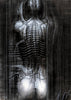 Xenomorph - H R Giger - Bio-mechanical Erotica Art Poster - Framed Prints