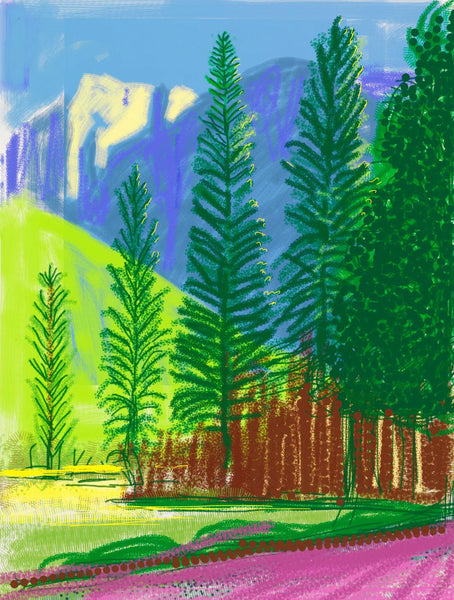 Yosemite - David Hockney iPhone Drawing - Canvas Prints